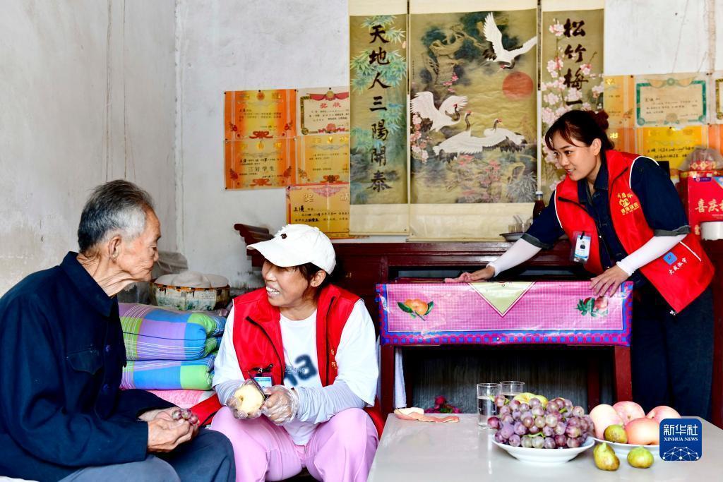 菠菜的论坛